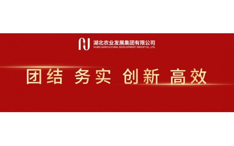 楊良鋒同志任湖北農(nóng)發(fā)集團(tuán)、湖北農(nóng)墾集團(tuán)黨委書記、董事長(zhǎng)